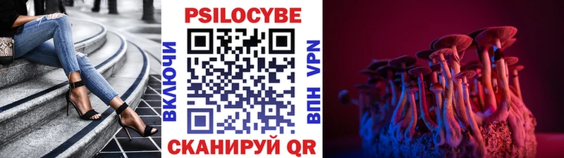 Галлюциногенные грибы GOLDEN TEACHER  магазин продажи   Сясьстрой 