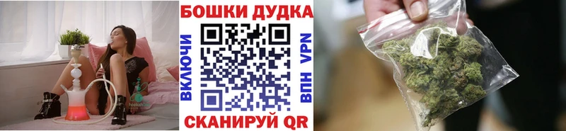 как найти наркотики  Сясьстрой  Каннабис индика 